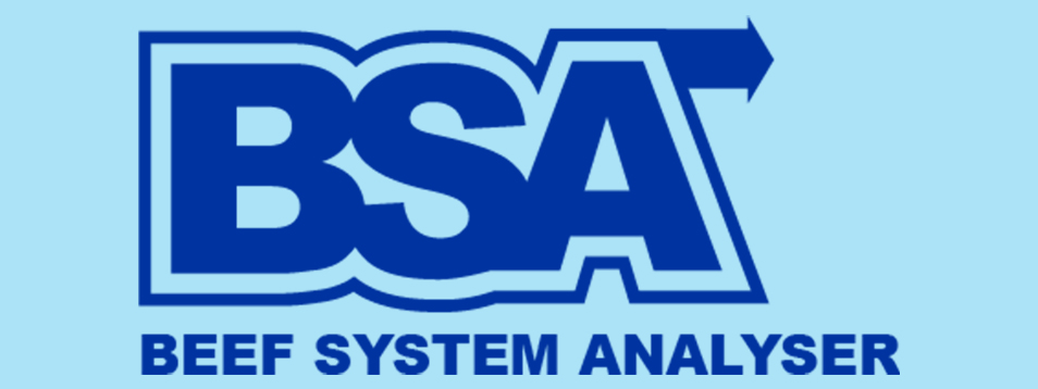 BSA New Logo